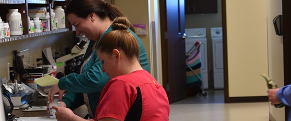 waynsboro-veterinarians-diagnostics Veterinarians working on pet diagnostics in the in house lab
